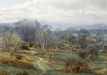 Hampstead Heath patrząc w stronę brony na wzgórzu, ok. 1880 (wc na papierze)