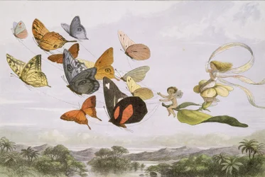 W Krainie Czarów: seria obrazków ze świata elfów, 1870.