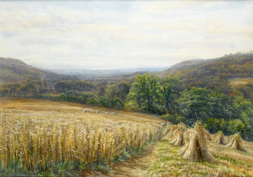 Żniwa w pobliżu Ashburton, 1884 (toaleta i gwasz na papierze)