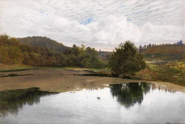 Leith Hill, z Broadmoor w Surrey