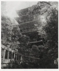 Historia Ryu, 1995