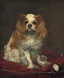 King Charles Spaniel, ok.1866 (olej na płótnie)