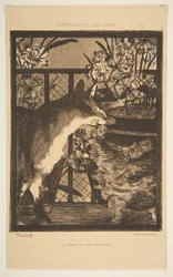 Kot i kwiaty. Ilustracja do The Cats autorstwa Champfleury, 1869.