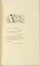 Popołudnie Fauna