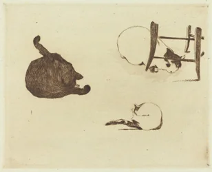 Czaty Cats Les, 1869.