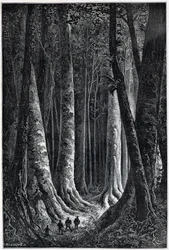 Las Gujany Francuskiej, rys. Riou, „Le Tour du Monde”, sem. 1879.