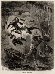 Polowanie na sowy schronione w kościele Sarayacu (Peru), rysunek Riou, ilustrujący podróż Paula Marcoya z Oceanu Spokojnego do Oceanu Atlantyckiego w latach 1848-1860. Rycina w „Le tour du monde” pod redakcją Edouarda Chartona