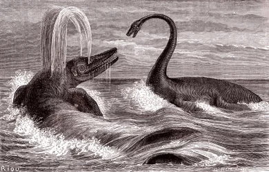 Ichtiozaur i Plezjozaur