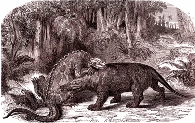 Iguanodon i megalozaur (rycina)