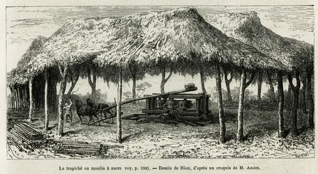 Trapiche, czyli młynek do cukru do mielenia laski w Panche (Kolumbia), rysunek Riou, ilustrujący historię Equinoxiale America (Kolumbia, Ekwador, Peru), w latach 1875-1876, autorstwa Ed. Andre, za misję podróżniczą od rządu francuskiego. Grawerowanie w Le 