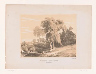 Landschapsstudie (tytuł na obiekcie)