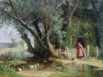 Staw kaczek