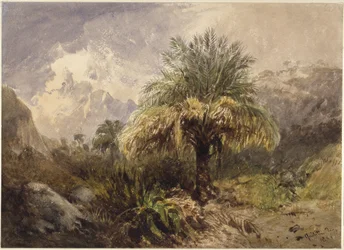 Palmy w górach