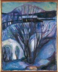 Norwegia, Oslo, Zimowy Krajobraz, Ekely