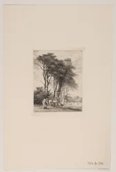 Krajobraz. Krowy pod lasem