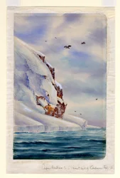 Cape Wadsworth, Coulman Island (wc na papierze)