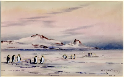 The Discovery Winter Quarters, c.1901-04 (wc na papierze)