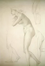 Galatea (ołówek na papierze)