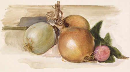 Martwa natura - badanie cebuli, 1871-75