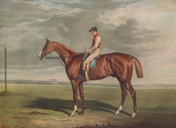 „Velocyped, zwycięzca St. Leger, 1828”, c1828, 1929
