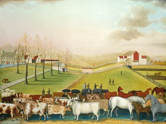Farma Cornella