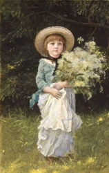 Meadowsweet