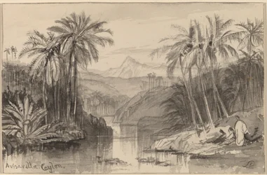 Avisavella, Cejlon, 18841885.