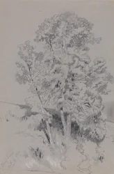 Burpham, 4 października 1834 r.