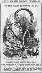 Karol Darwin, fantazyjne portrety Puncha, nr 54, ilustracja z „Puncha” lub „Londyńskiego Charivari”