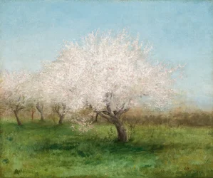 Jabłonie na łące 1890 (olej na płótnie)