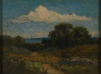 Krajobraz (drzewa i skały nad jeziorem)