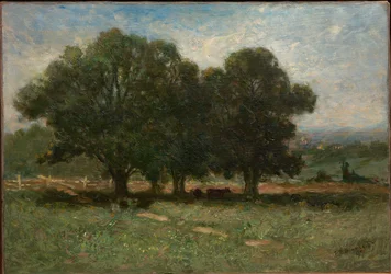 Krajobraz