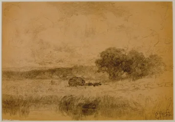 Krajobraz, Las (#13) 1880 (grafit na papierze)