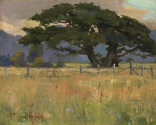 Łąka pod górami, 1897