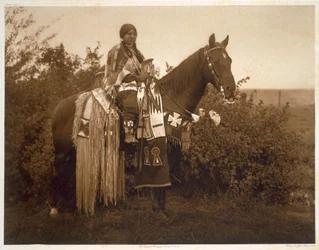 Świąteczne pułapki - Cayuse