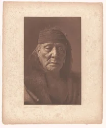 Portret Bear