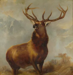 Monarch of the Glen (olej na płótnie)