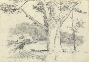 Nr. Lyndhurst, sierpień 1871