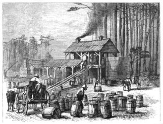 Destylarnia terpentyny, Karolina Północna, 1870.