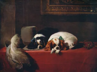 Spaniele King Charles, zwierzęta domowe kawalerów, 1845, ok. 1915