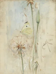 Motyl i oset (akwarela)