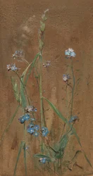 Forget-Me-Not (akwarela na brązowym papierze)