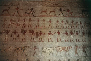 Nekropolia Beni-Hasan. Grobowiec Amenemhata, fragment: malowidła ścienne przedstawiające sceny myśliwskie i życie na wsi
