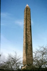 Igła Kleopatry