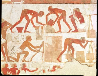 Construção de uma parede, do túmulo de Rekhmire, vizir de Tuthmosis III e Amenhotep II, Novo Reino (pintura de parede) (ver 202228 para detalhes)polonês