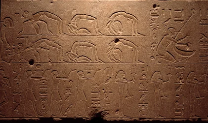 Starożytność egipska: fragment wygrawerowanego fresku przedstawiającego tancerzy, akrobatów i muzyków. Okres XVIII dynastii królowej Hatszepsut (Hatszepsut). Luksor, Muzeum Sztuki Egipskiej