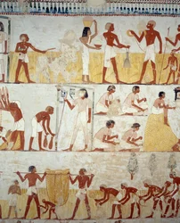 Zbiór plonów, młócenie i przesiewanie zboża, fragment fresków w przedsionku Grobowca Menny, Nekropolia Szejka Abd el Qurnah, Luksor, Teby (lista światowego dziedzictwa UNESCO