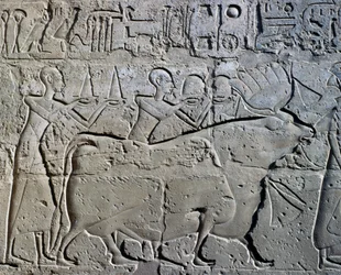 Postacie symbolizujące okręgi górnicze przynoszące daninę bogu, relief, Dziedziniec Ramzesa II, Świątynia Amona (Lista światowego dziedzictwa Unesco)