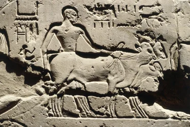 Egipt Starożytny, Luksor, Świątynia Luksorska, Dziedziniec Ramzesa II, relief, Nowe Państwo, Dynastia XIX (1290-1224 p.n.e.)