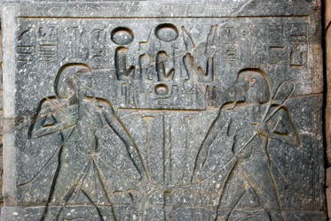 Starożytność egipska: fragment podstawy posągu faraona Ramzesa II (1292-1186 pne przedstawiający unię Górnego i Dolnego Egiptu. Świątynia Luksoru. Wschodni Brzeg (Teby), Egipt